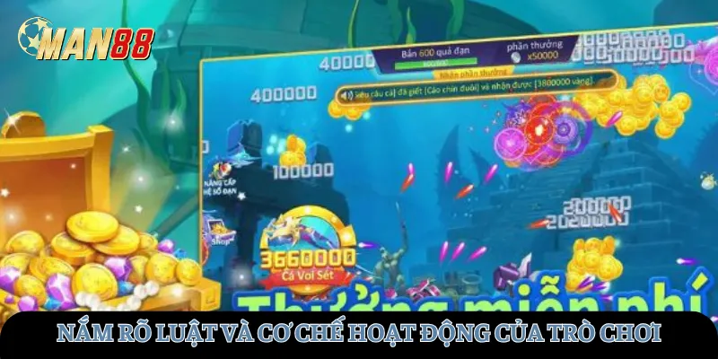 Nắm rõ luật và cơ chế hoạt động của trò chơi