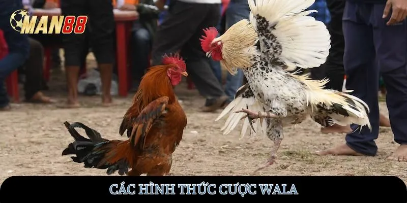 Các hình thức cược Wala