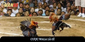 cuoc-wala-la-gi-man88