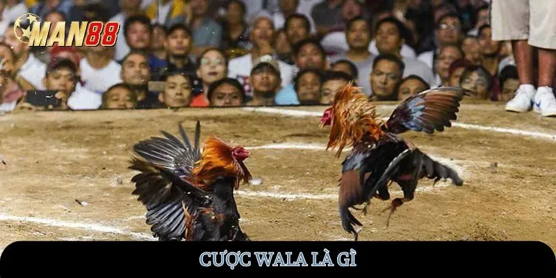 cuoc-wala-la-gi-man88
