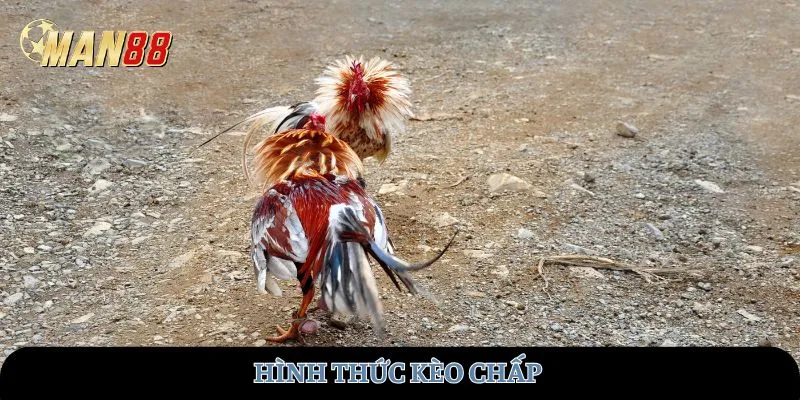 Hình thức kèo chấp trong cược wala là gì