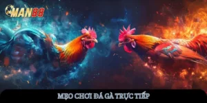 meo-choi-da-ga-truc-tiep-man88