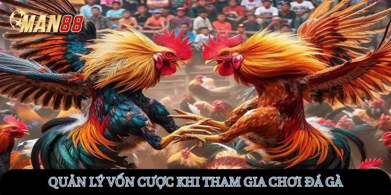 Quản lý vốn cược khi tham gia chơi đá gà
