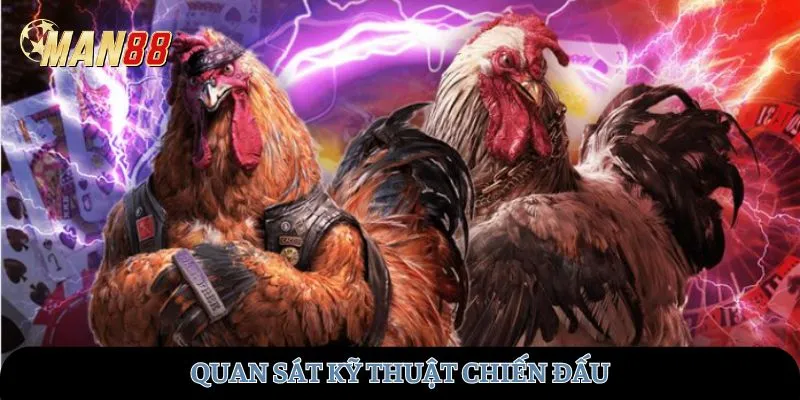 Quan sát kỹ thuật chiến đấu
