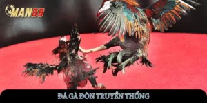 da-ga-don-truyen-thong-man88