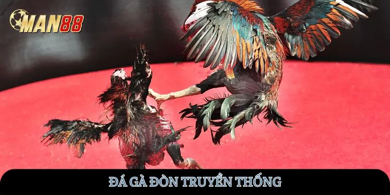 da-ga-don-truyen-thong-man88