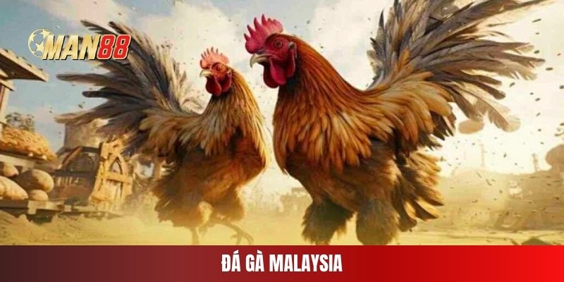 da-ga-malaysia